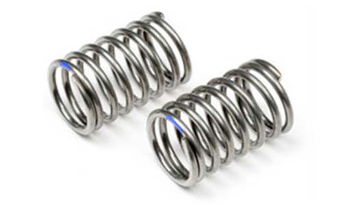 AISI 317L Springs
