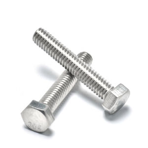 AISI 310S Fasteners