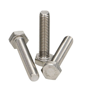 AISI 317L Fasteners