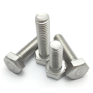 AISI 321 Fasteners